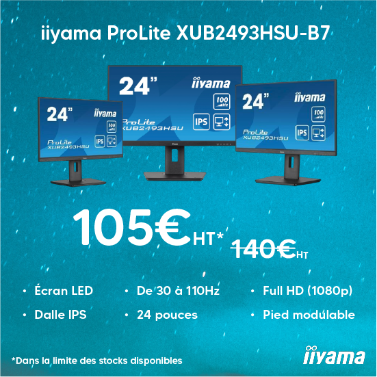 image petit iiyama prolite